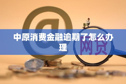 中原消費金融逾期處理指南 如何通過專業金融咨詢解決問題